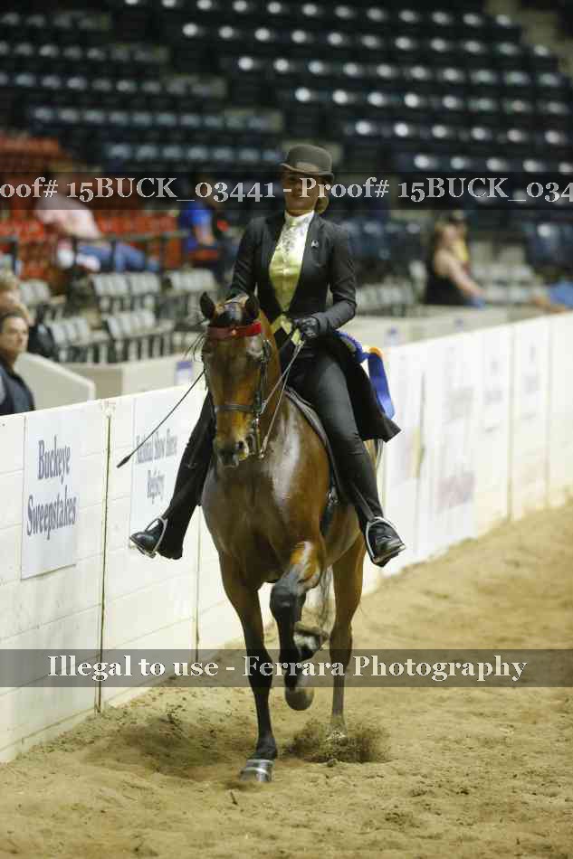 Proof Number 15BUCK_03441