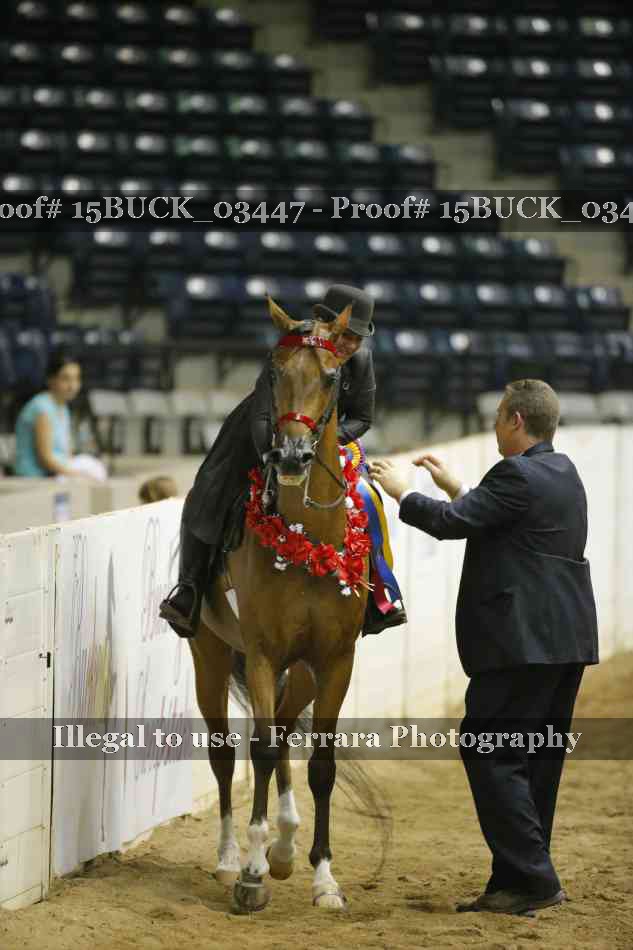 Proof Number 15BUCK_03447