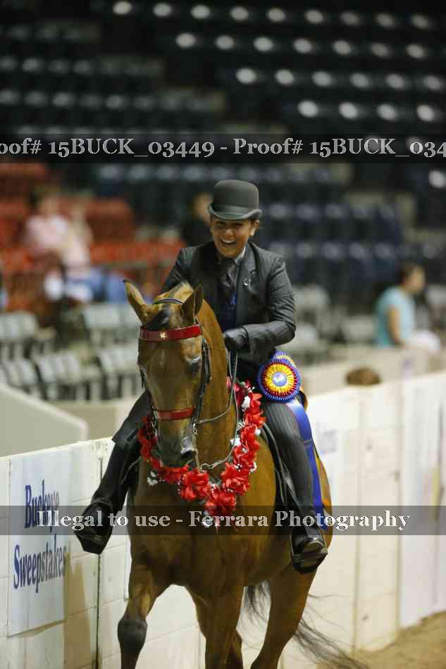 Proof Number 15BUCK_03449