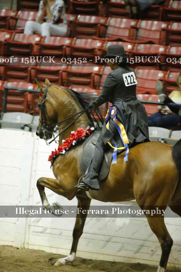 Proof Number 15BUCK_03452