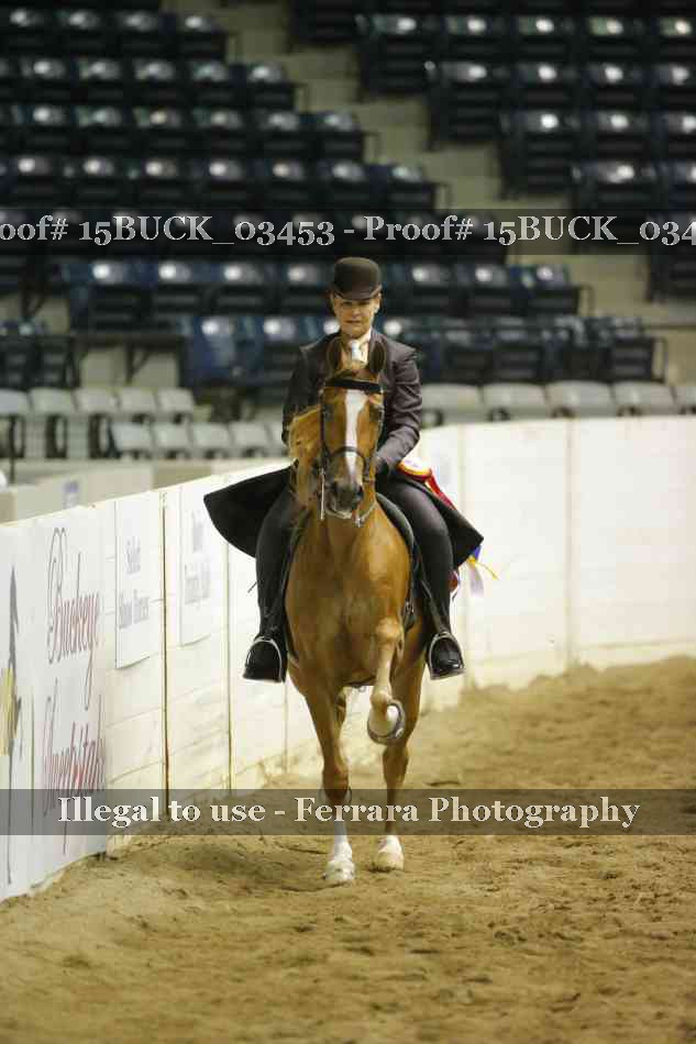 Proof Number 15BUCK_03453