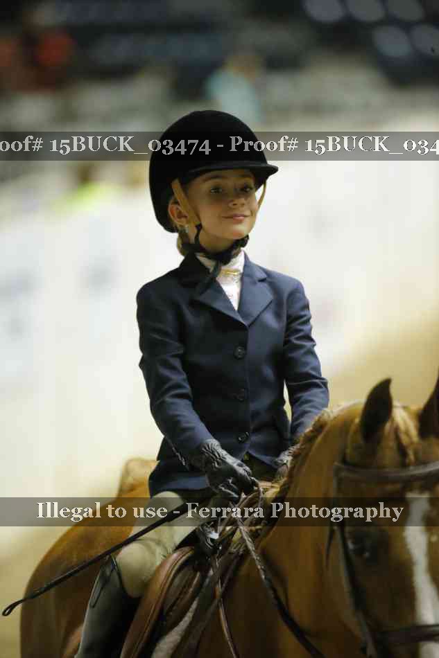 Proof Number 15BUCK_03474