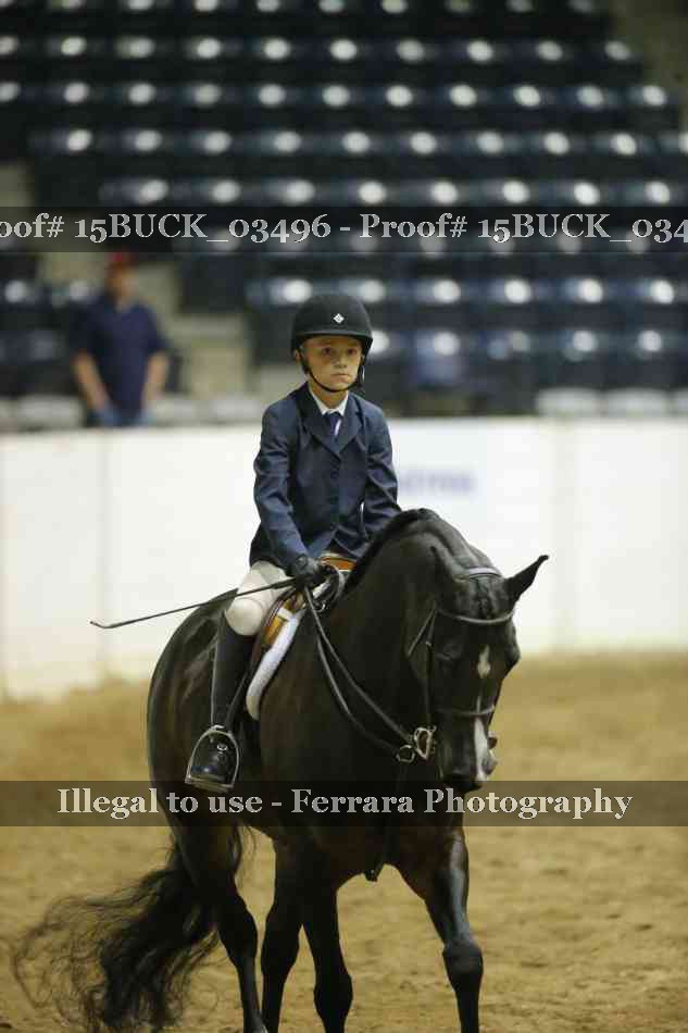 Proof Number 15BUCK_03496