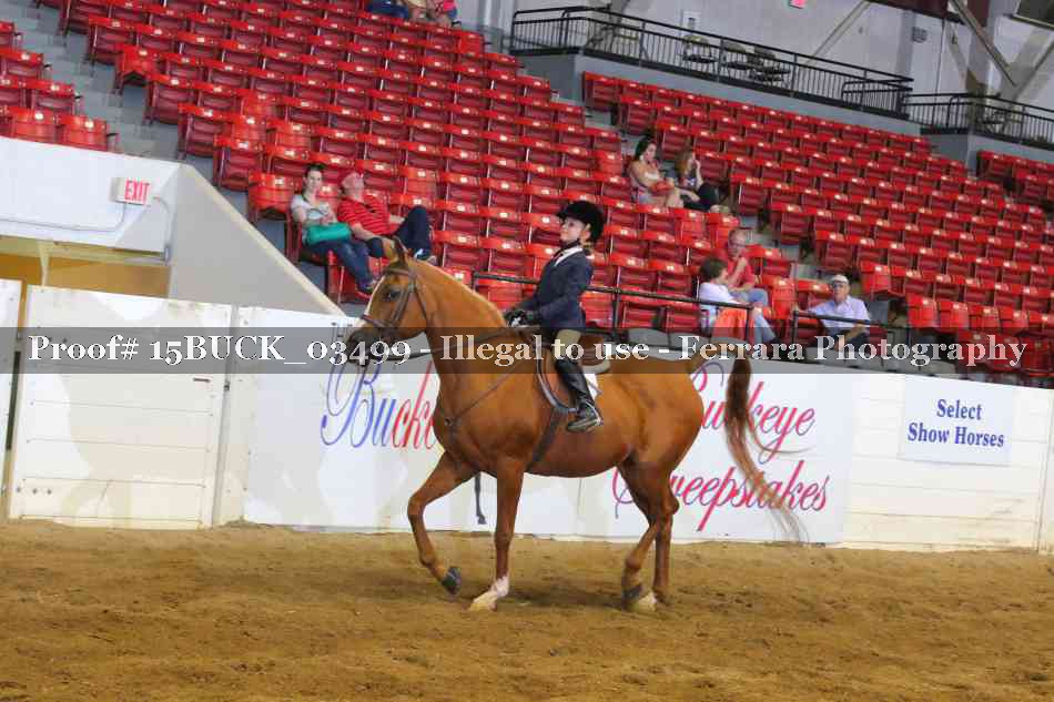 Proof Number 15BUCK_03499