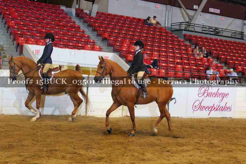 Proof Number 15BUCK_03501