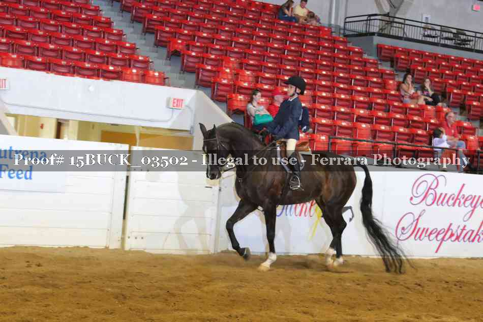 Proof Number 15BUCK_03502