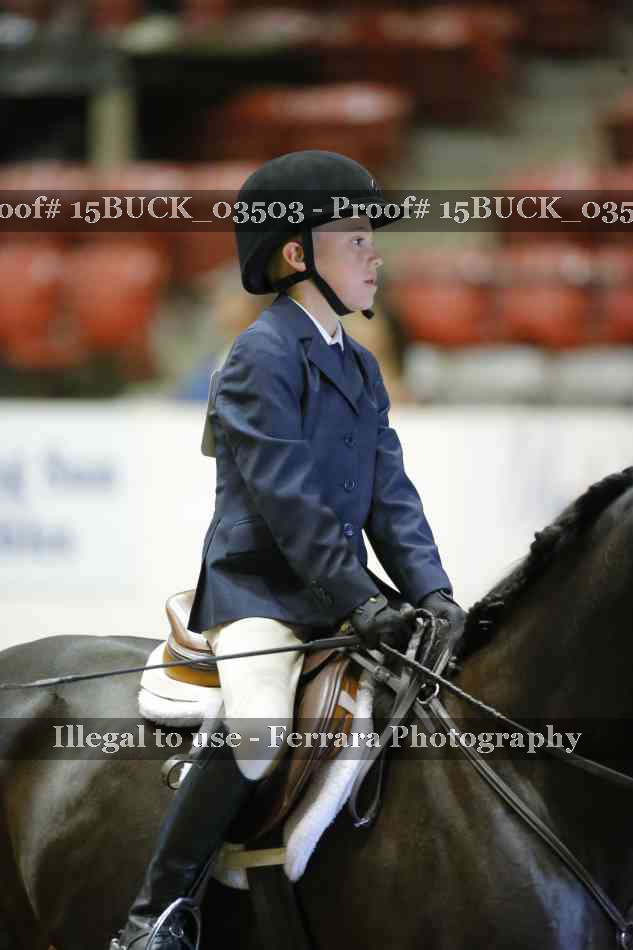 Proof Number 15BUCK_03503
