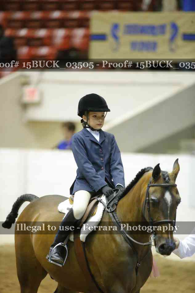 Proof Number 15BUCK_03505
