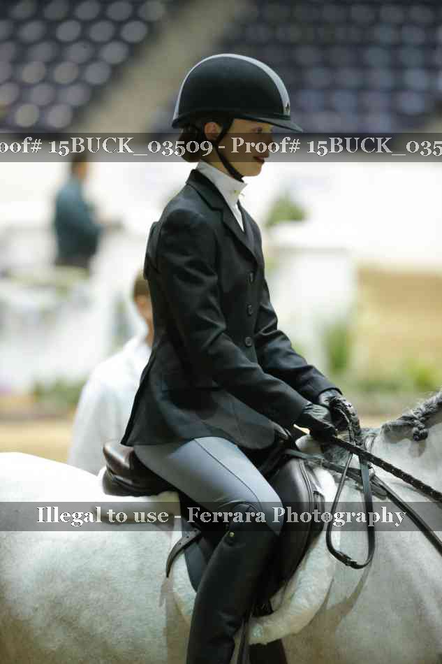 Proof Number 15BUCK_03509