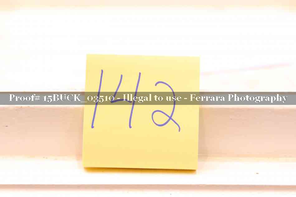 Proof Number 15BUCK_03510
