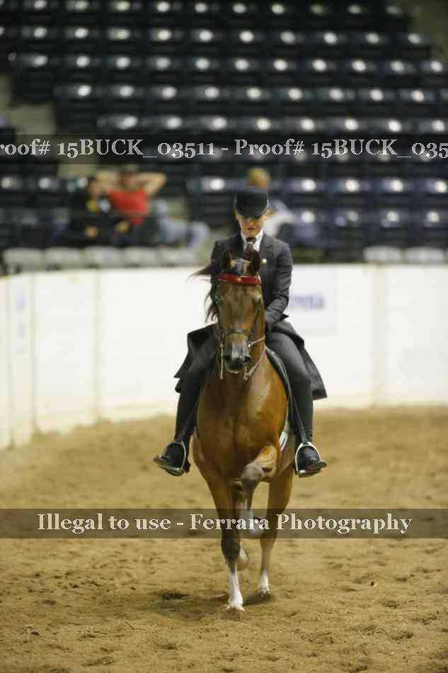 Proof Number 15BUCK_03511