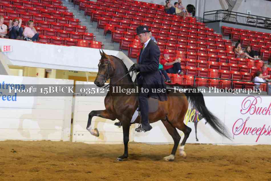 Proof Number 15BUCK_03512