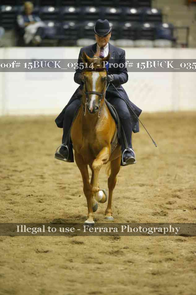 Proof Number 15BUCK_03514