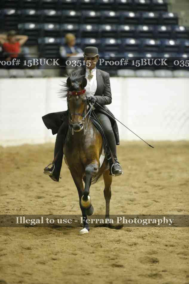 Proof Number 15BUCK_03515
