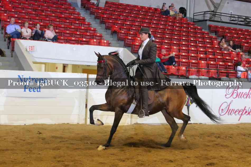 Proof Number 15BUCK_03516