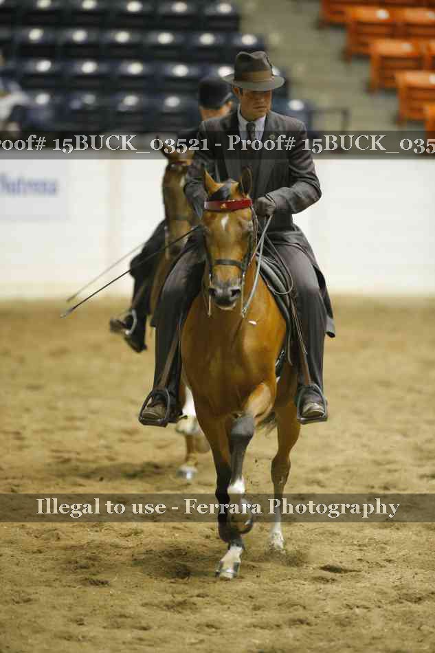 Proof Number 15BUCK_03521