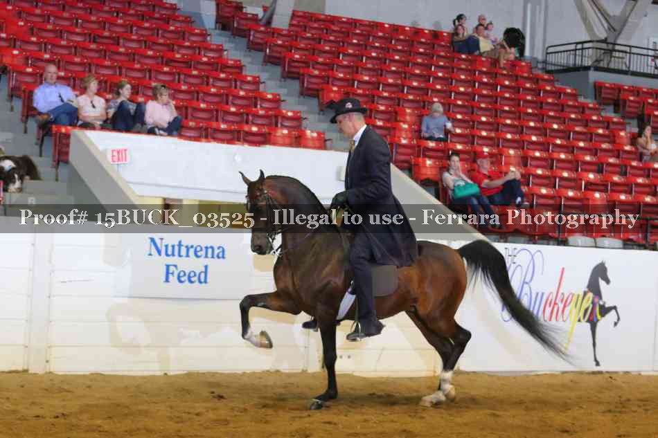 Proof Number 15BUCK_03525