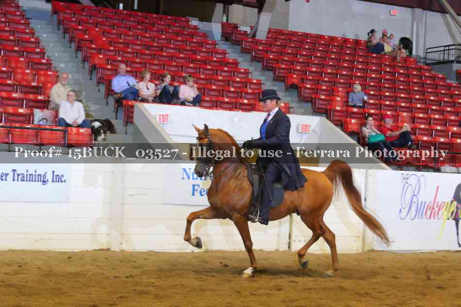 Proof Number 15BUCK_03527