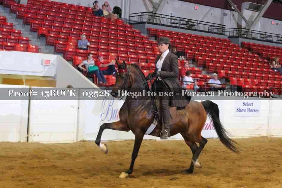 Proof Number 15BUCK_03528