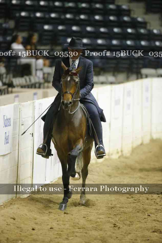 Proof Number 15BUCK_03530