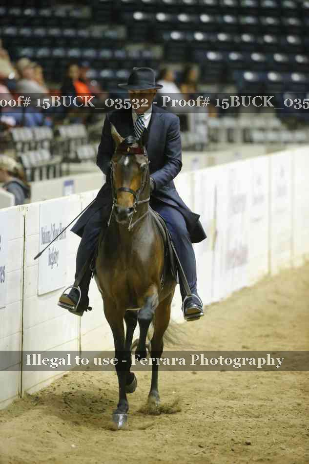 Proof Number 15BUCK_03532
