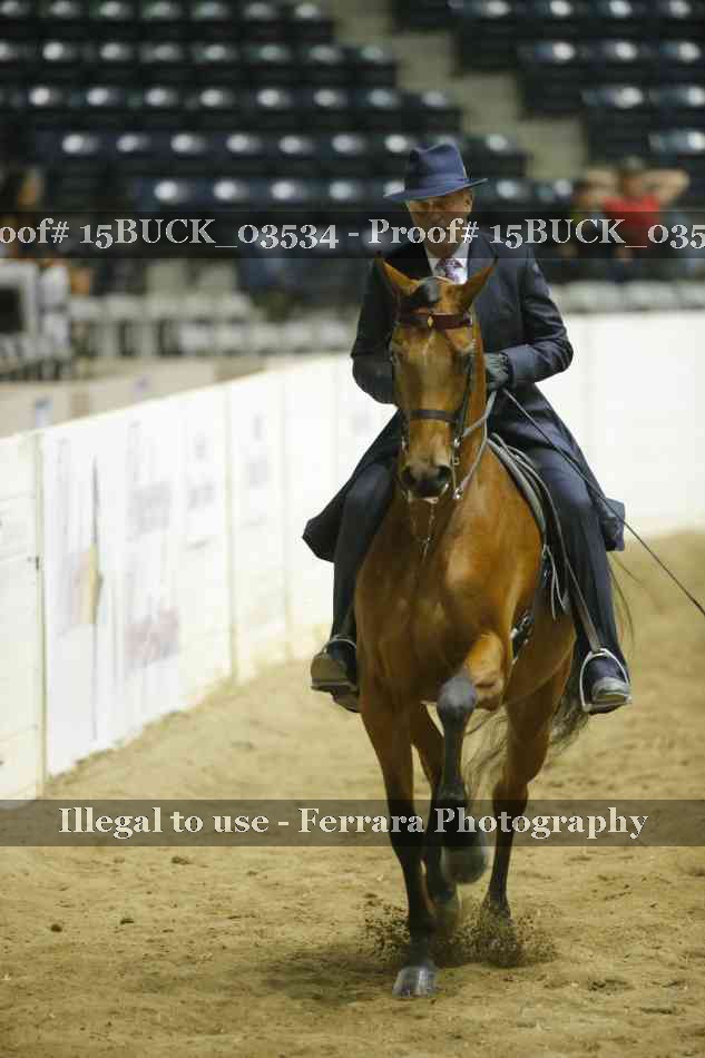 Proof Number 15BUCK_03534