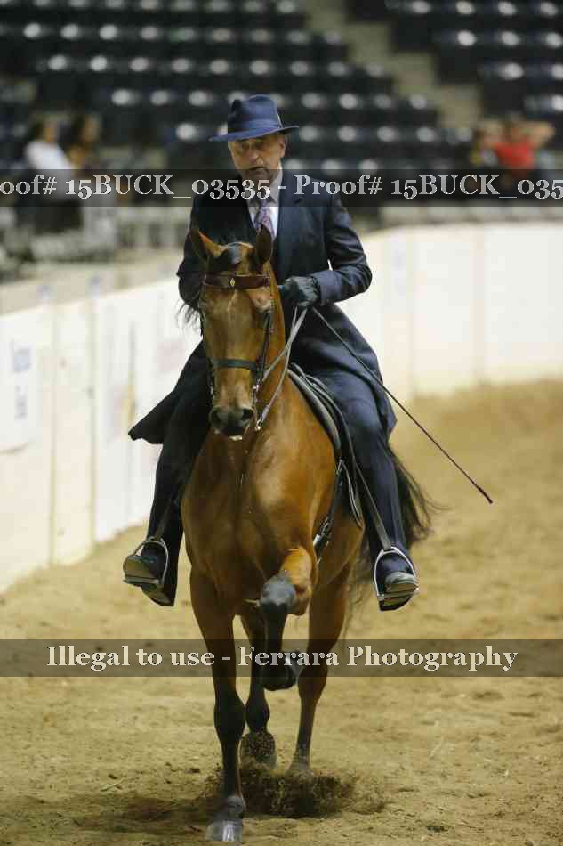 Proof Number 15BUCK_03535