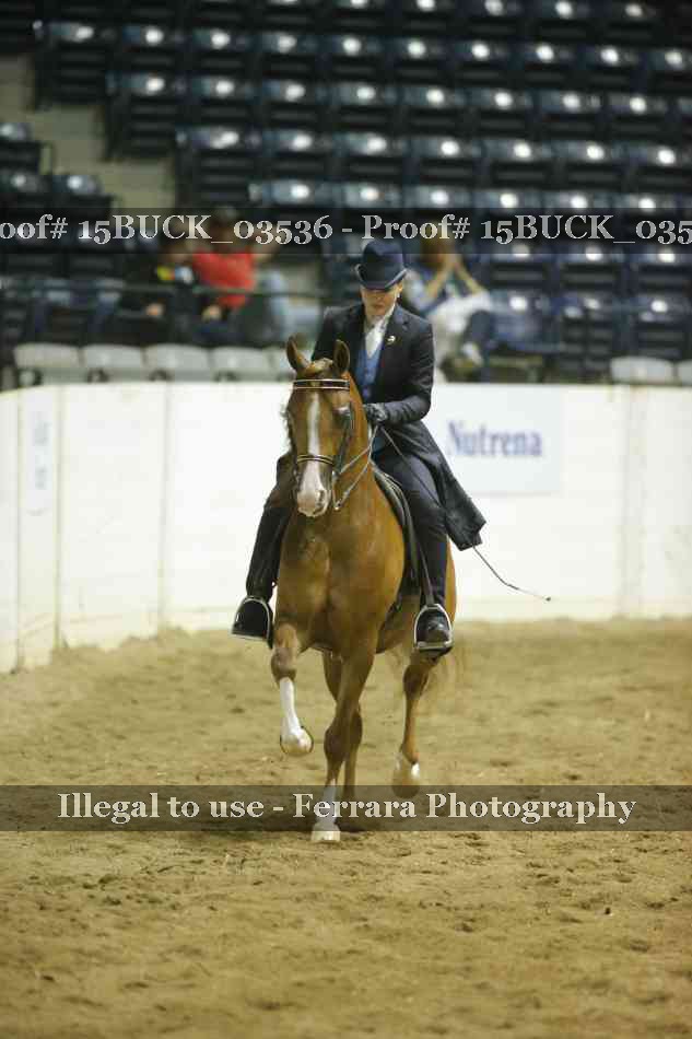 Proof Number 15BUCK_03536
