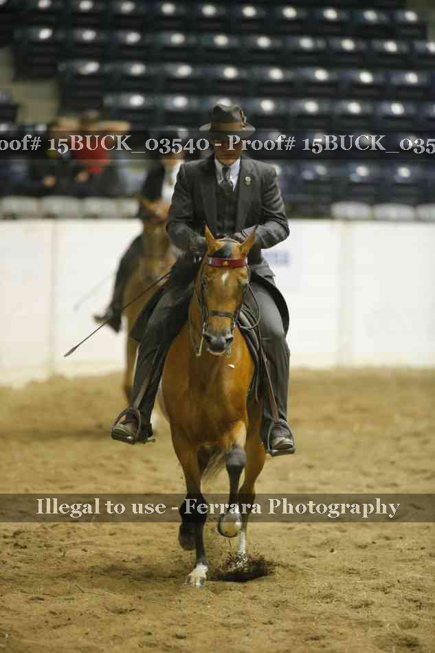 Proof Number 15BUCK_03540