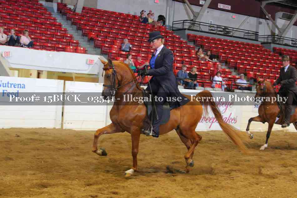Proof Number 15BUCK_03541