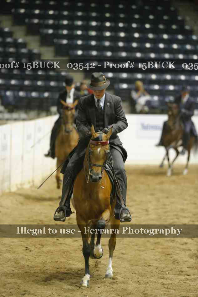 Proof Number 15BUCK_03542
