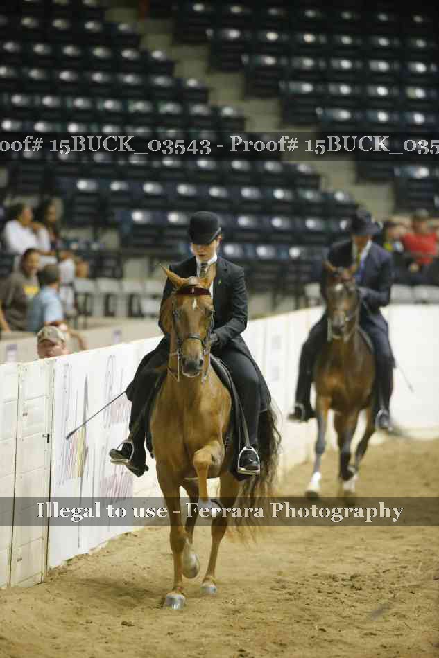 Proof Number 15BUCK_03543
