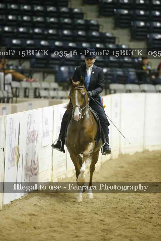 Proof Number 15BUCK_03546
