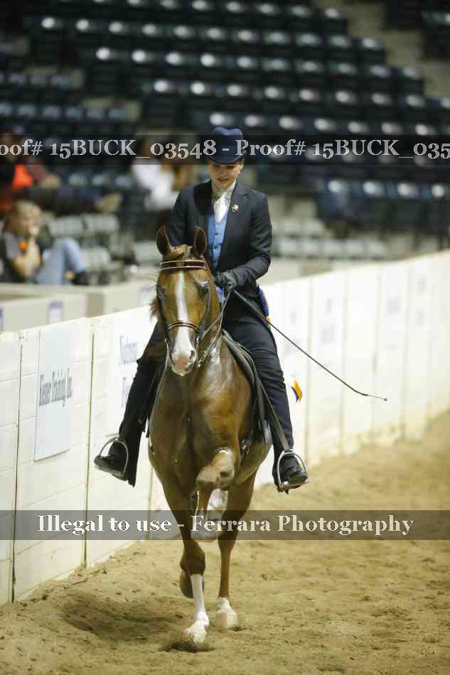 Proof Number 15BUCK_03548