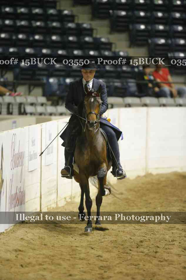 Proof Number 15BUCK_03550