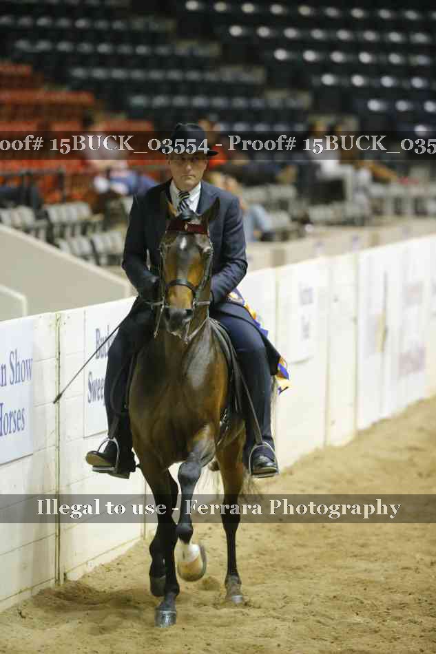 Proof Number 15BUCK_03554