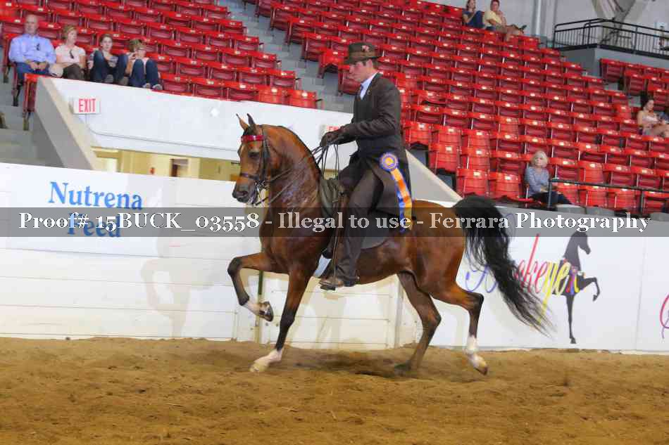 Proof Number 15BUCK_03558