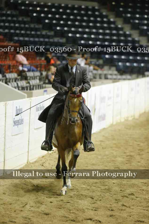 Proof Number 15BUCK_03560