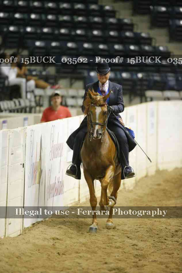 Proof Number 15BUCK_03562