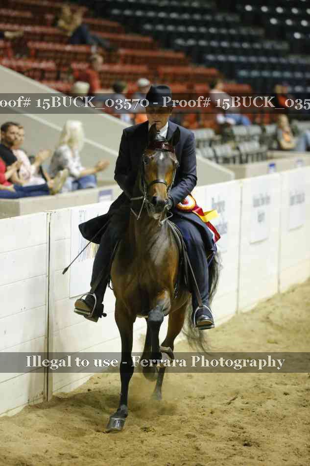 Proof Number 15BUCK_03570