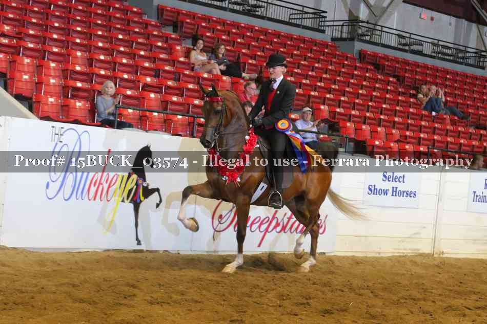 Proof Number 15BUCK_03574