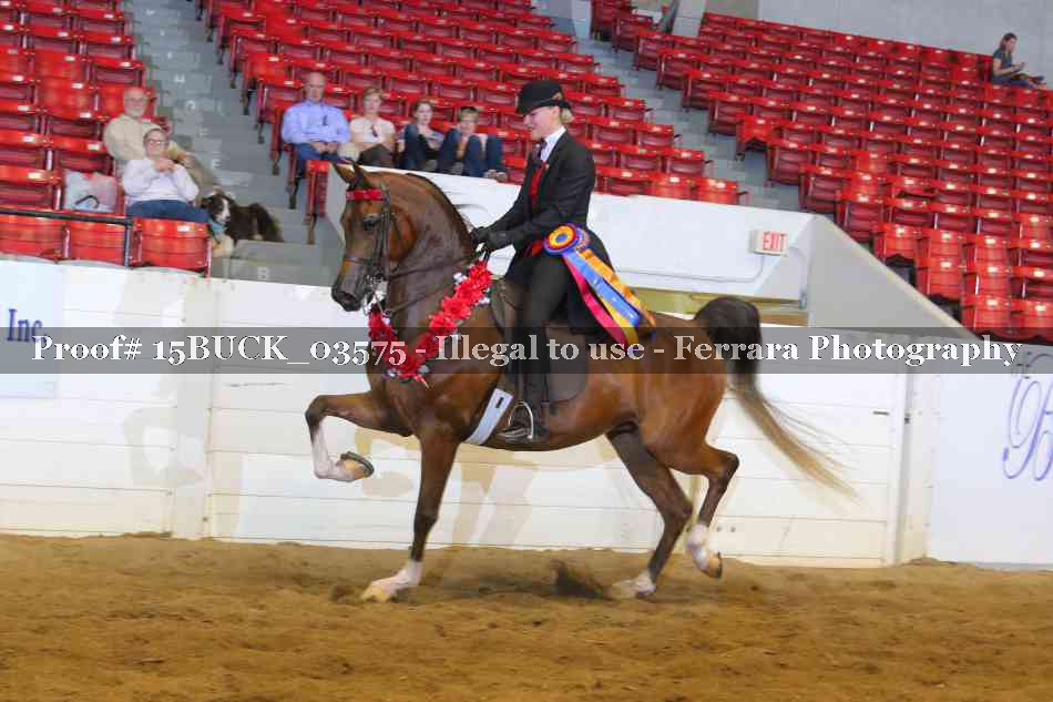 Proof Number 15BUCK_03575