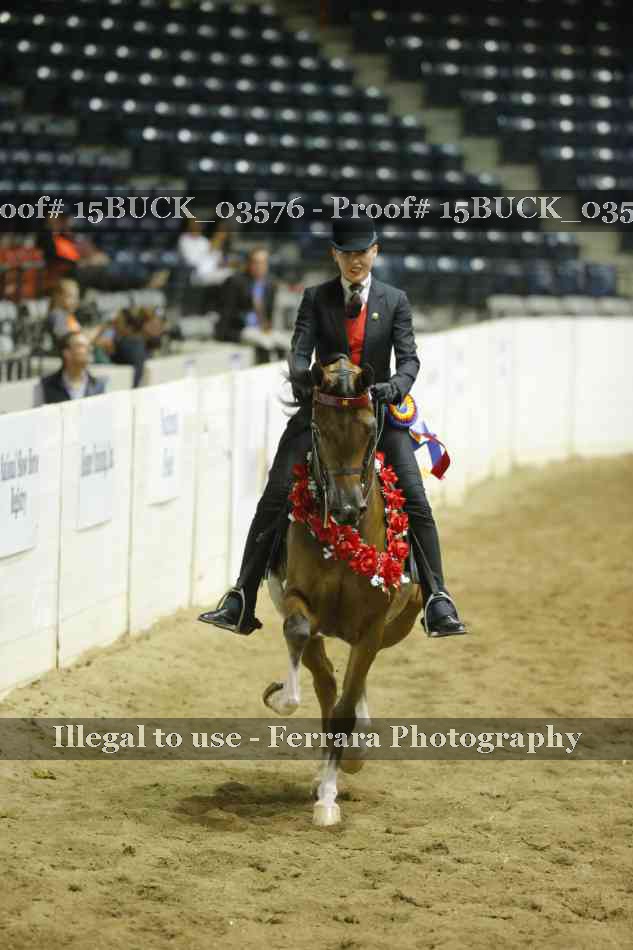 Proof Number 15BUCK_03576