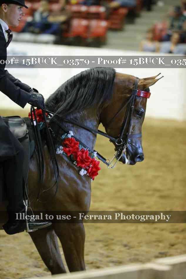 Proof Number 15BUCK_03579
