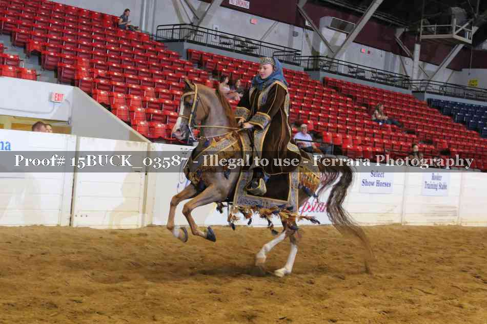 Proof Number 15BUCK_03587