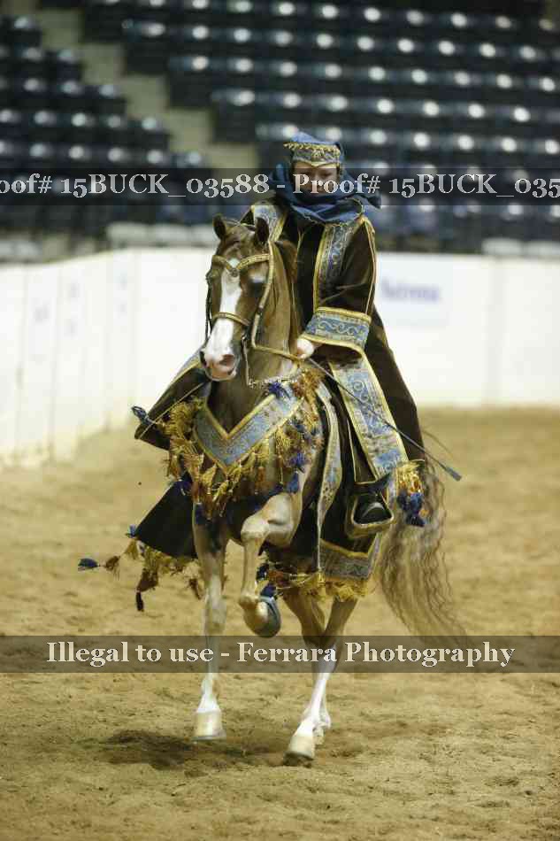 Proof Number 15BUCK_03588