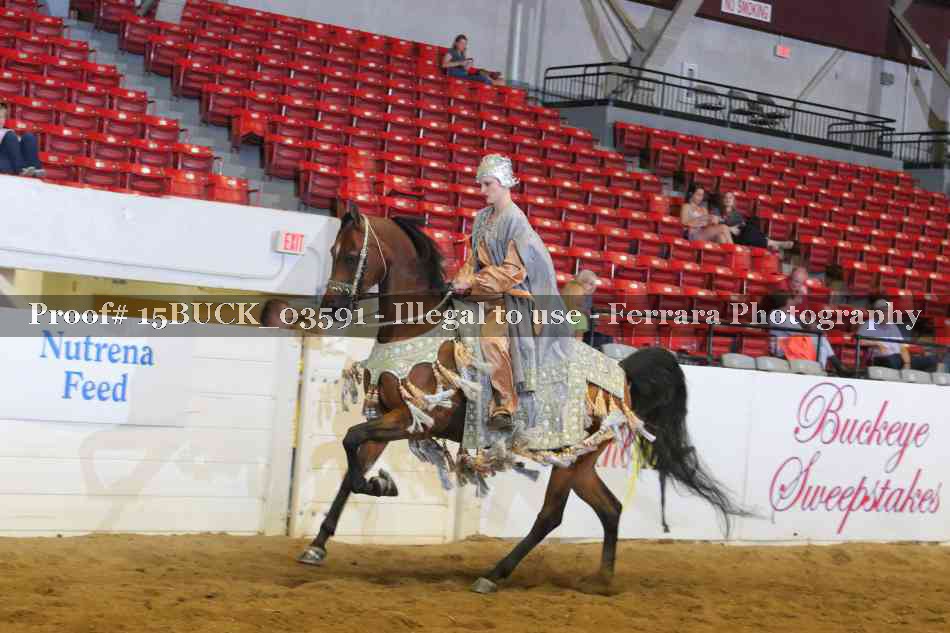 Proof Number 15BUCK_03591