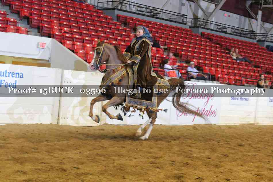 Proof Number 15BUCK_03596