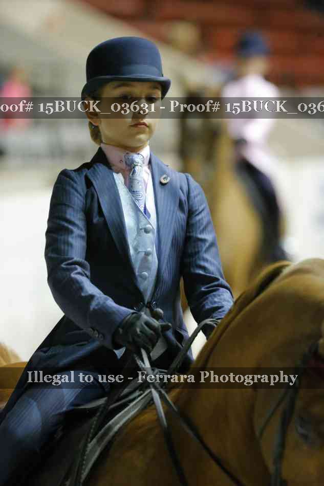 Proof Number 15BUCK_03631