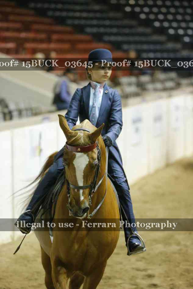 Proof Number 15BUCK_03645